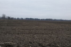 Земельна ділянка сільськогосподарського призначення в Києві, площа 1.9091 Га фото 1