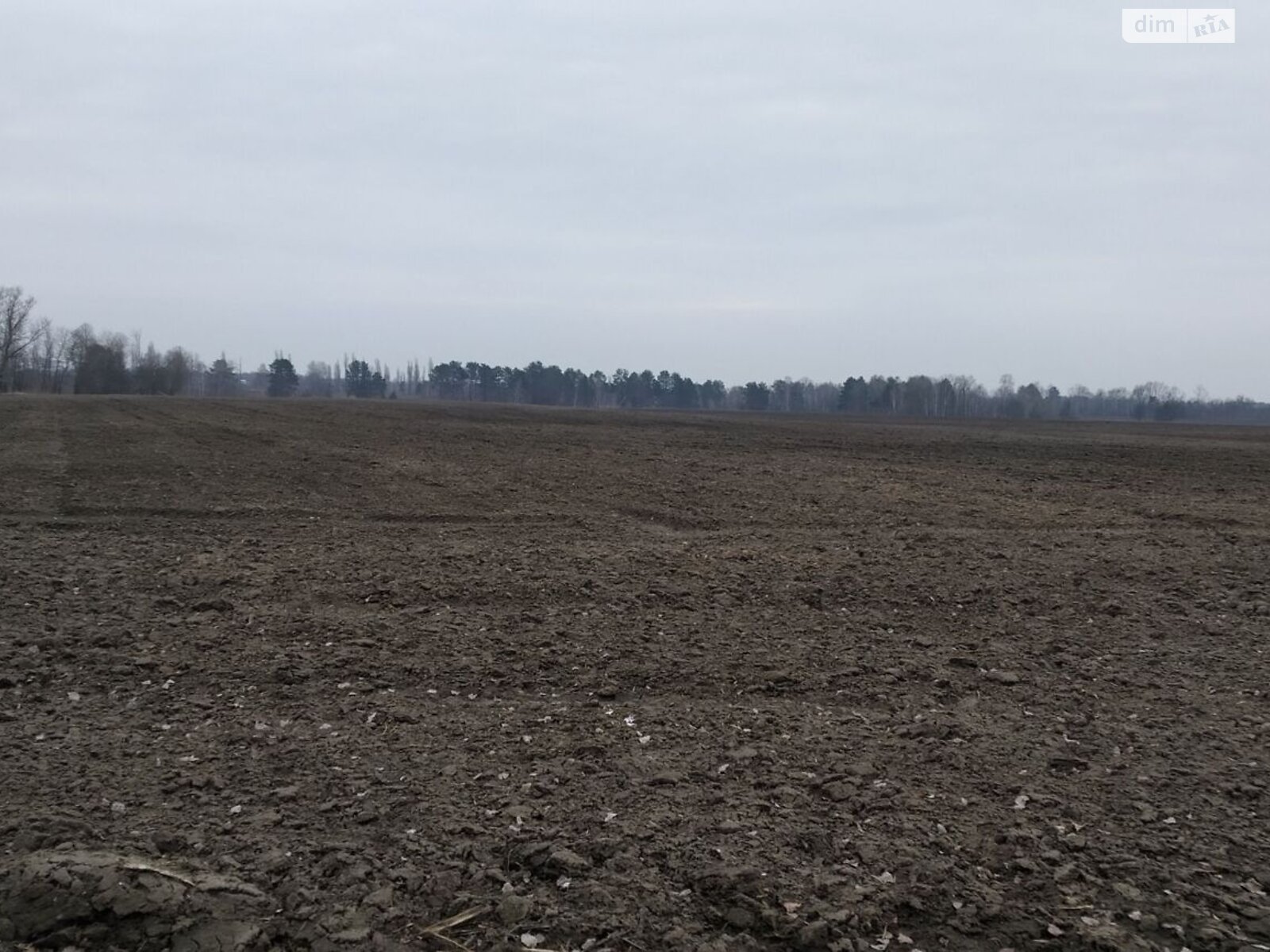 Земельна ділянка сільськогосподарського призначення в Києві, площа 1.9091 Га фото 1