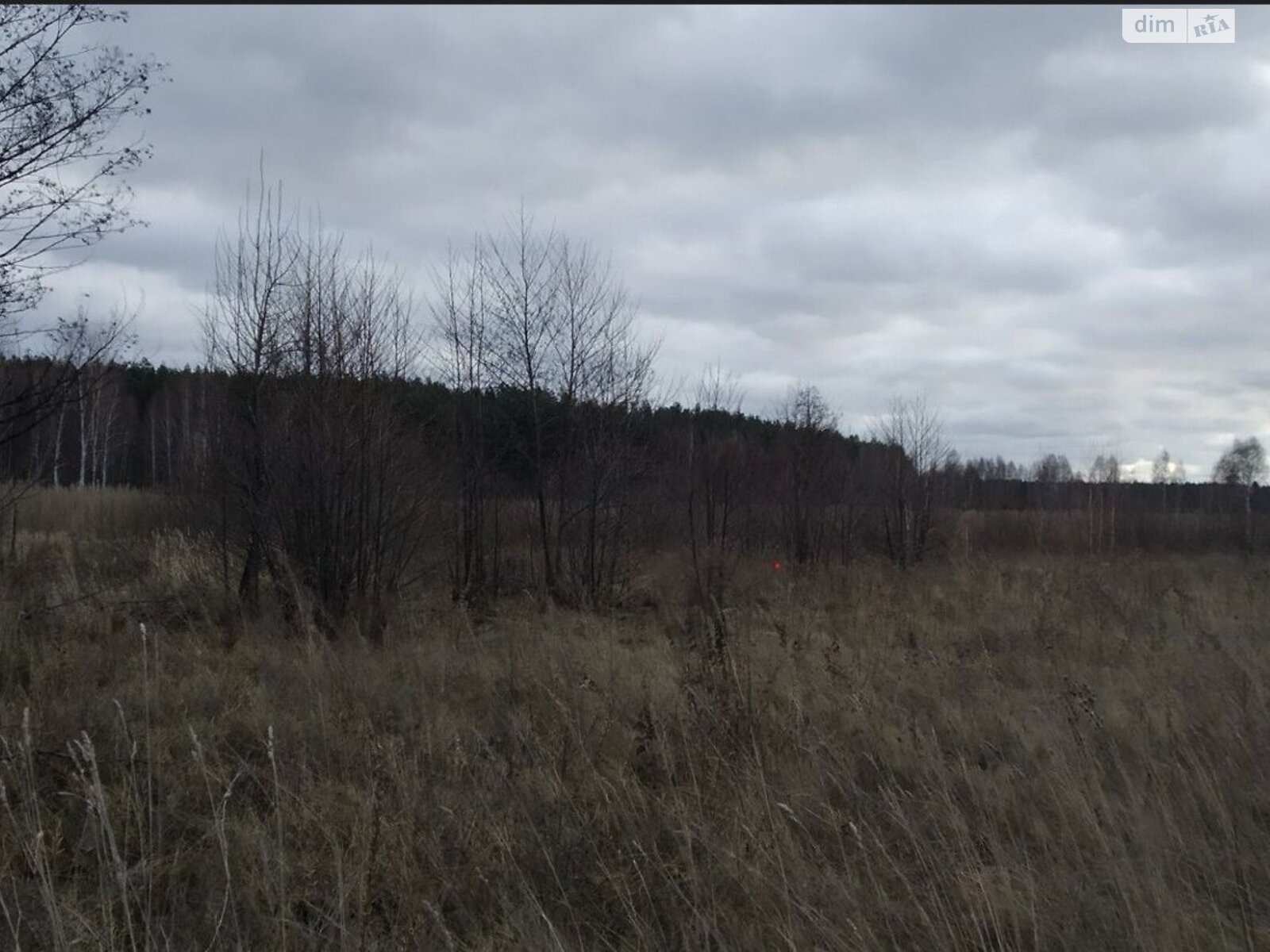 Земельный участок сельскохозяйственного назначения в Киеве, площадь 30.4899 Га фото 1