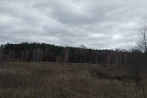 Земельна ділянка сільськогосподарського призначення в Києві, площа 13.5348 Га фото 2