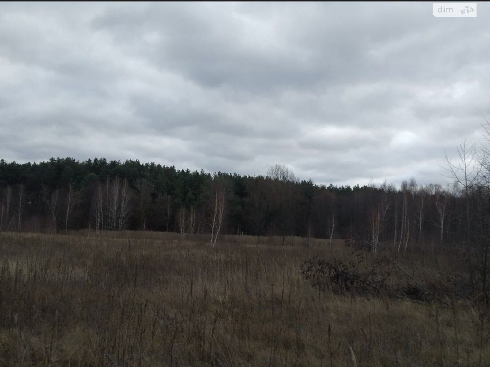 Земельна ділянка сільськогосподарського призначення в Києві, площа 13.5348 Га фото 1