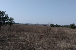 Земельна ділянка сільськогосподарського призначення в Києві, площа 4.5527 Га фото 1