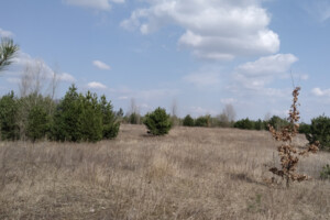 Земельна ділянка сільськогосподарського призначення в Києві, площа 1.8315 Га фото 1