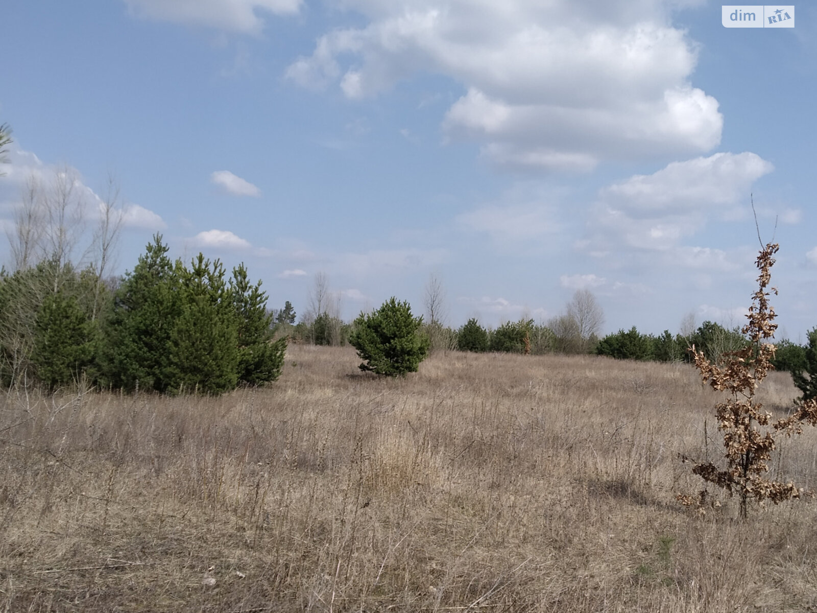 Земельна ділянка сільськогосподарського призначення в Києві, площа 1.8315 Га фото 1