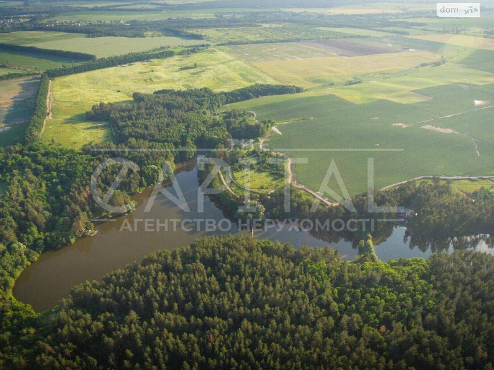 Земельный участок сельскохозяйственного назначения в Горбовичах, площадь 845 соток фото 1