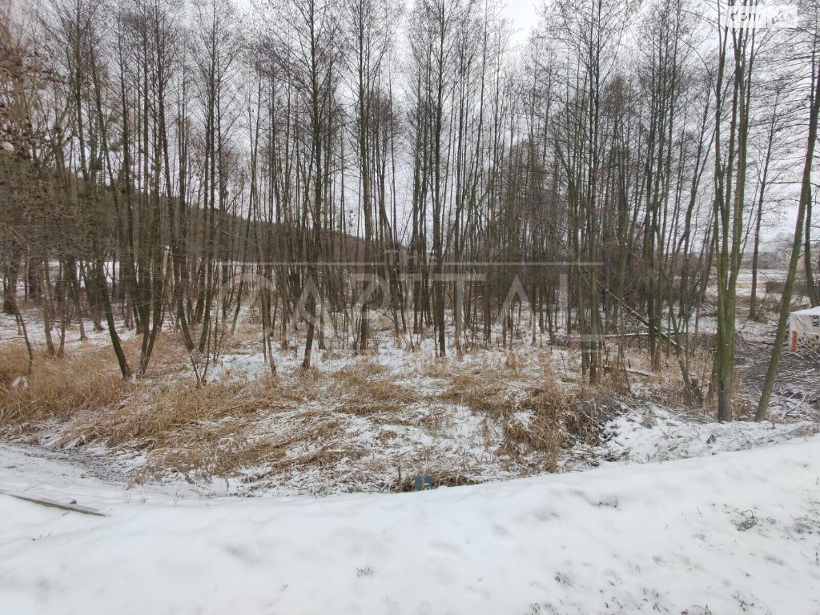 Земельна ділянка сільськогосподарського призначення в Горбовичах, площа 130 соток фото 1 Земельна ділянка сільськогосподарського призначення в Горбовичах, площа 130 соток фото 1
