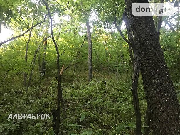 Земля сельскохозяйственного назначения в селе Лесники, площадь 9 соток фото 1 Земля сельскохозяйственного назначения в селе Лесники, площадь 9 соток фото 1