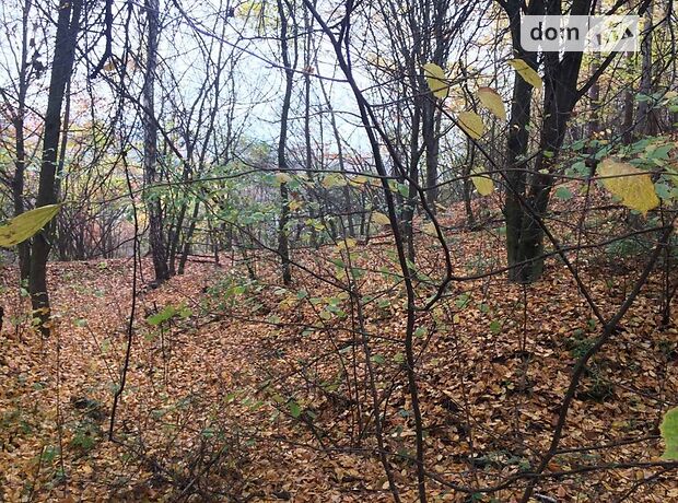 Земля сельскохозяйственного назначения в селе Лесники, площадь 25 соток фото 1 Земля сельскохозяйственного назначения в селе Лесники, площадь 25 соток фото 1