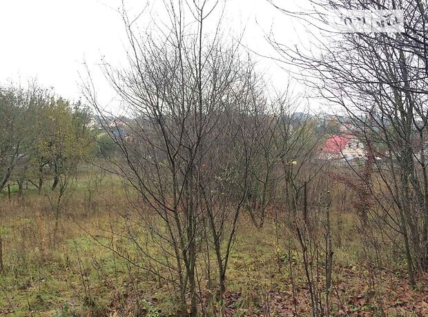 Земля сельскохозяйственного назначения в селе Лесники, площадь 25 соток фото 1 Земля сельскохозяйственного назначения в селе Лесники, площадь 25 соток фото 1