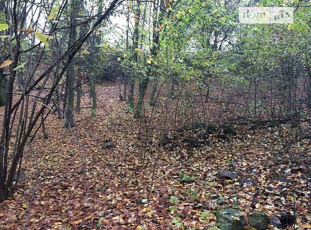 Земля сельскохозяйственного назначения в селе Лесники, площадь 25 соток фото 1 Земля сельскохозяйственного назначения в селе Лесники, площадь 25 соток фото 1