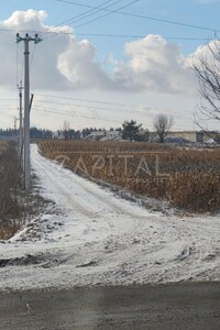 Земельный участок сельскохозяйственного назначения в Шпитьках, площадь 50 соток фото 2