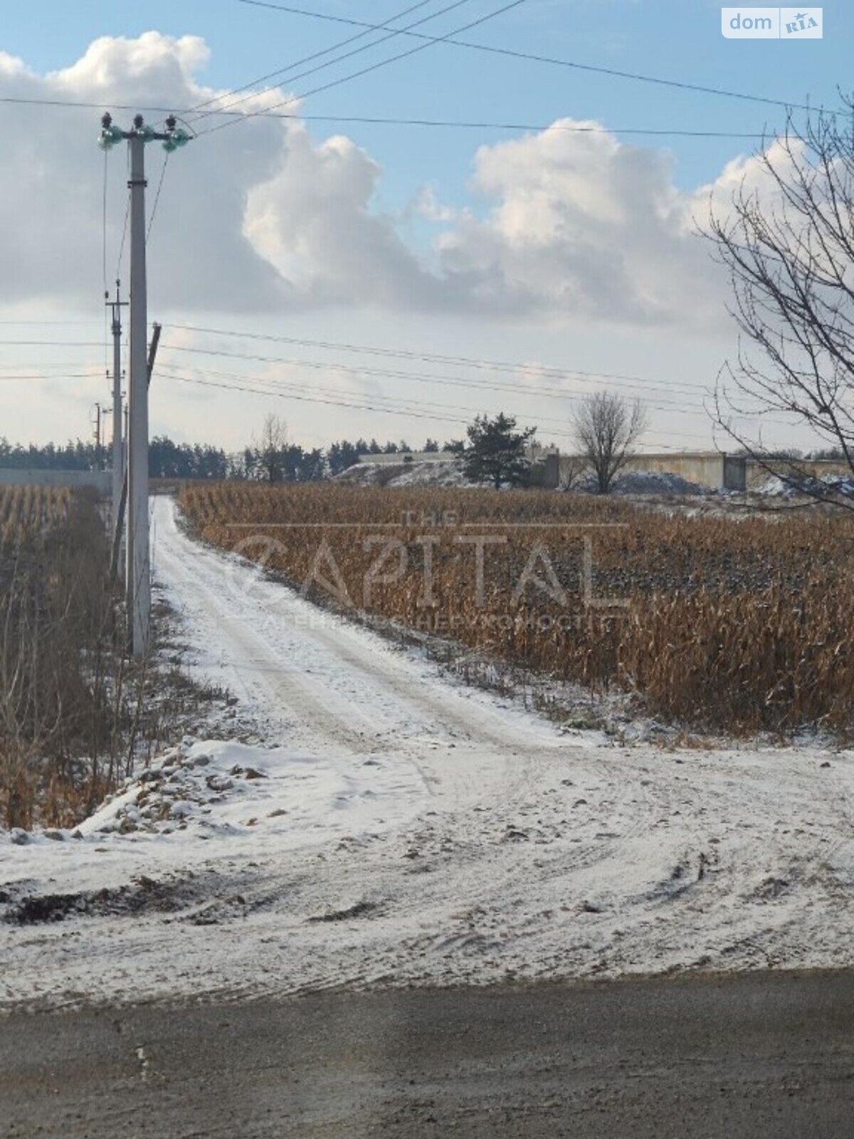 Земельный участок сельскохозяйственного назначения в Шпитьках, площадь 50 соток фото 1