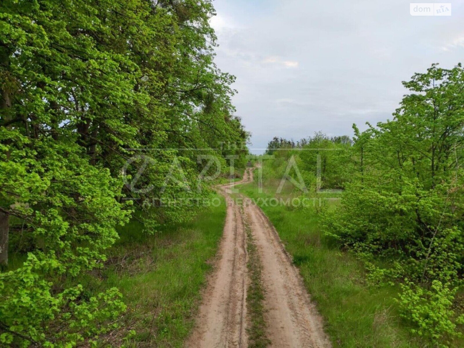 Земельна ділянка сільськогосподарського призначення в Шпитьках, площа 250 соток фото 1