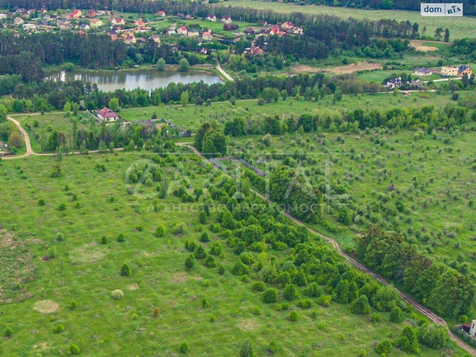 Земельна ділянка сільськогосподарського призначення в Шпитьках, площа 250 соток фото 1