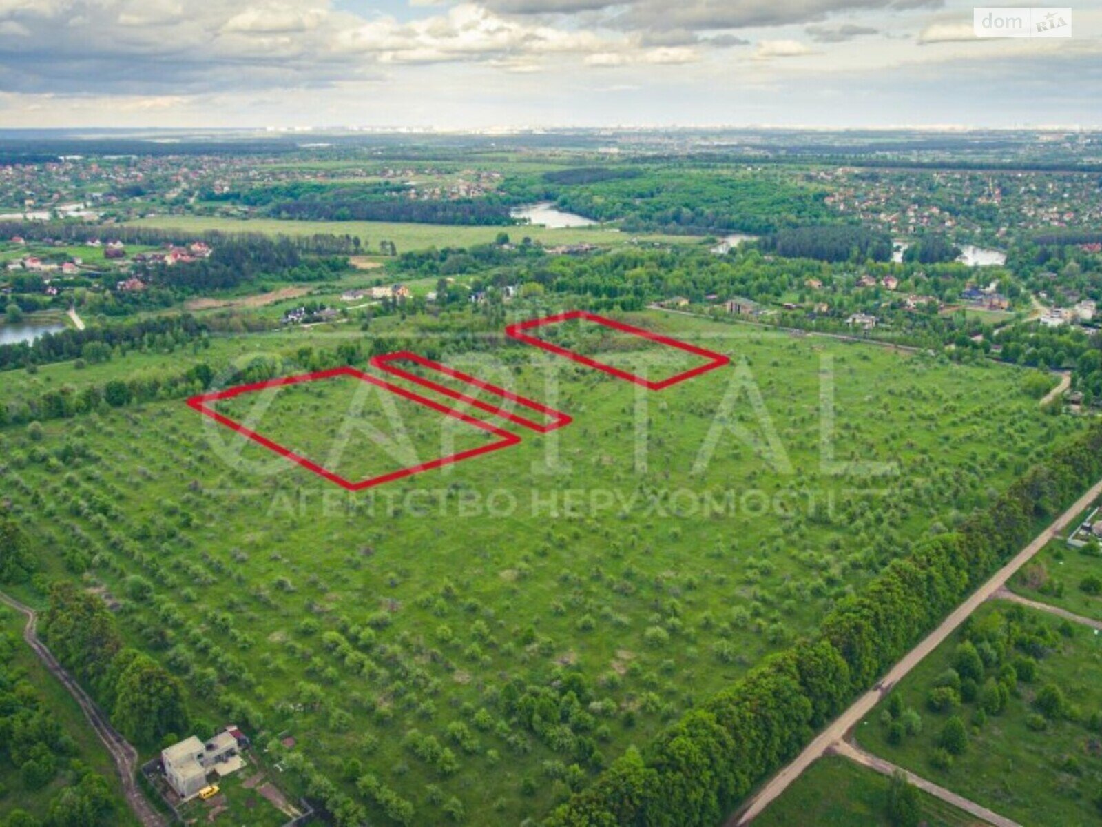 Земельна ділянка сільськогосподарського призначення в Шпитьках, площа 250 соток фото 1