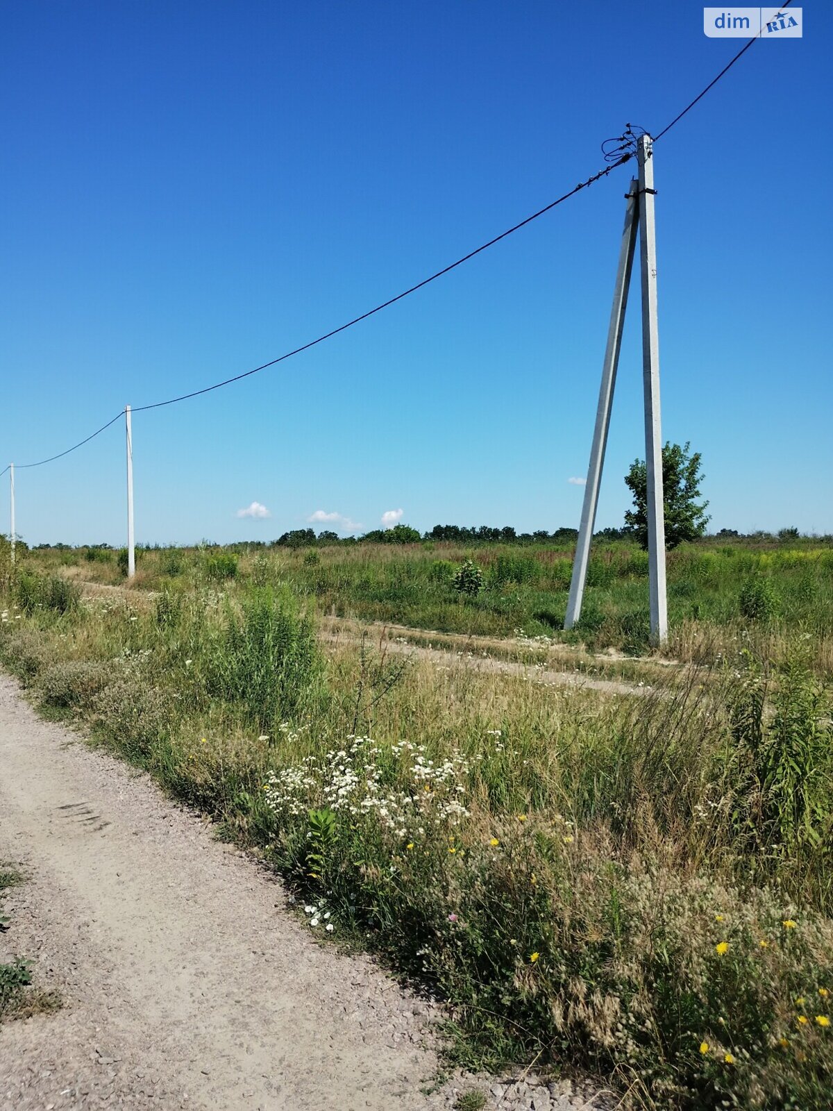 Земельна ділянка сільськогосподарського призначення в Тарасівці, площа 10.9 сотки фото 1 Земельна ділянка сільськогосподарського призначення в Тарасівці, площа 10.9 сотки фото 1