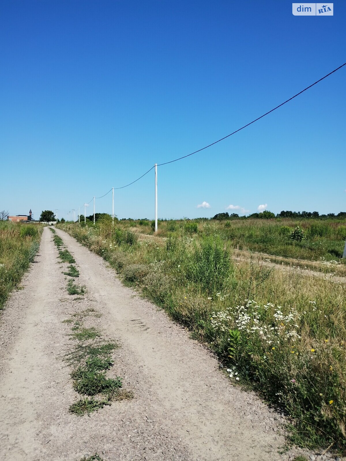 Земельна ділянка сільськогосподарського призначення в Тарасівці, площа 10.9 сотки фото 1 Земельна ділянка сільськогосподарського призначення в Тарасівці, площа 10.9 сотки фото 1