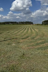 Земельный участок сельскохозяйственного назначения в Бузовой, площадь 500 соток фото 2