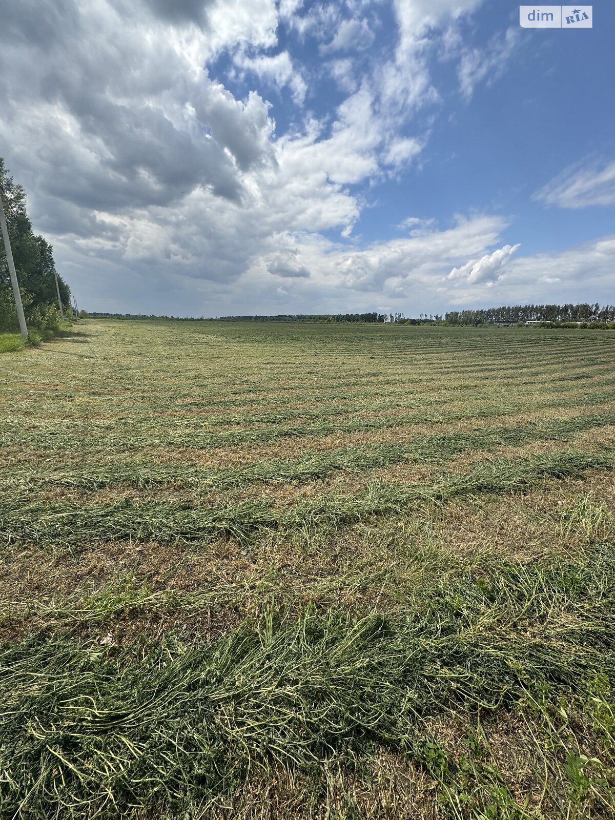 Земельный участок сельскохозяйственного назначения в Бузовой, площадь 500 соток фото 1