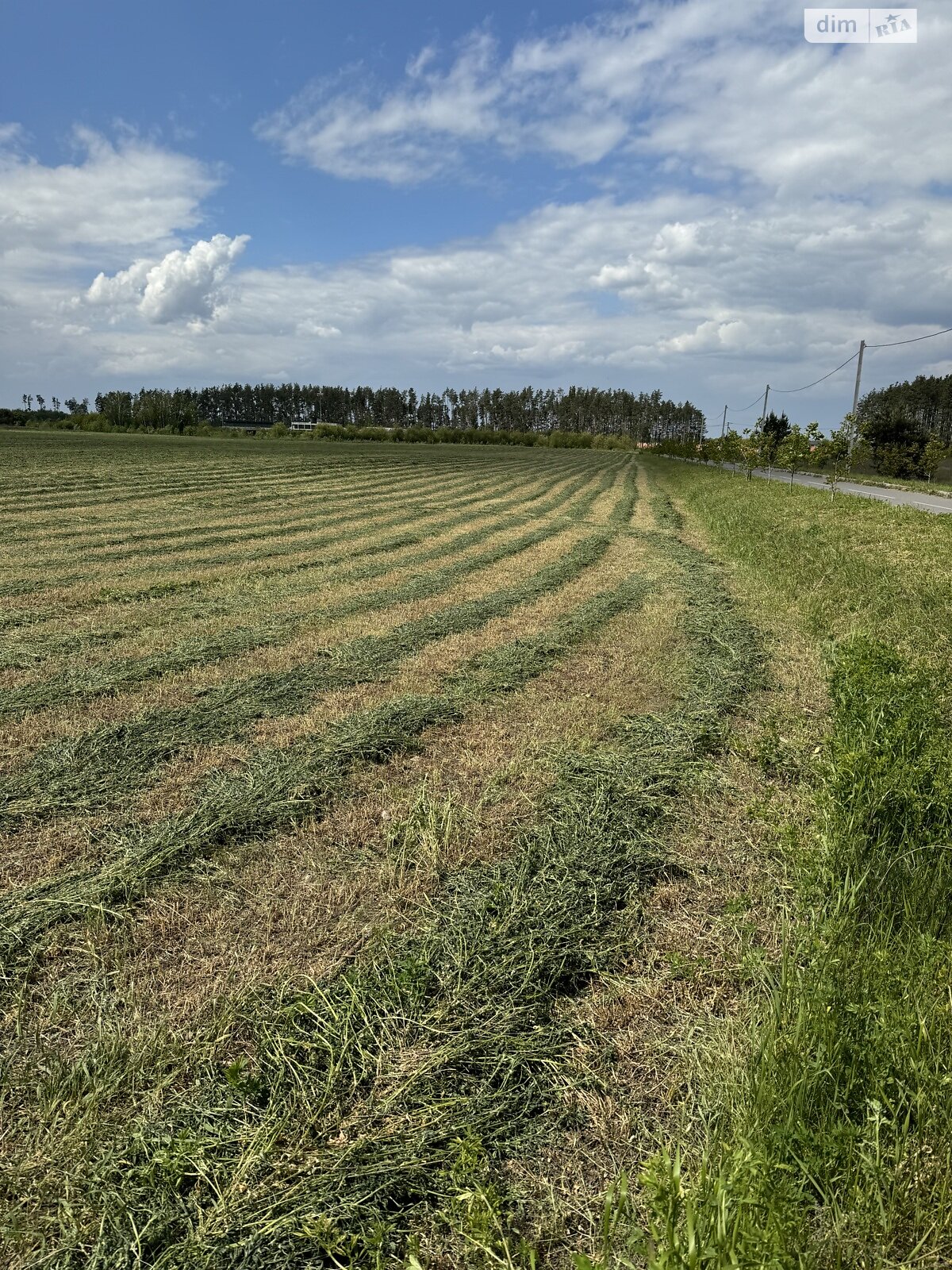 Земельный участок сельскохозяйственного назначения в Бузовой, площадь 500 соток фото 1