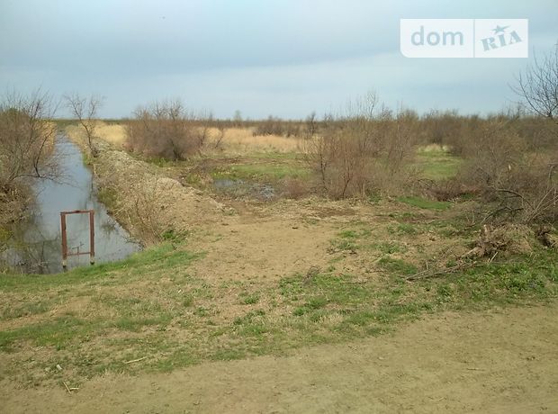 Земля сельскохозяйственного назначения в селе Вилково, площадь 2 Га фото 1 Земля сельскохозяйственного назначения в селе Вилково, площадь 2 Га фото 1