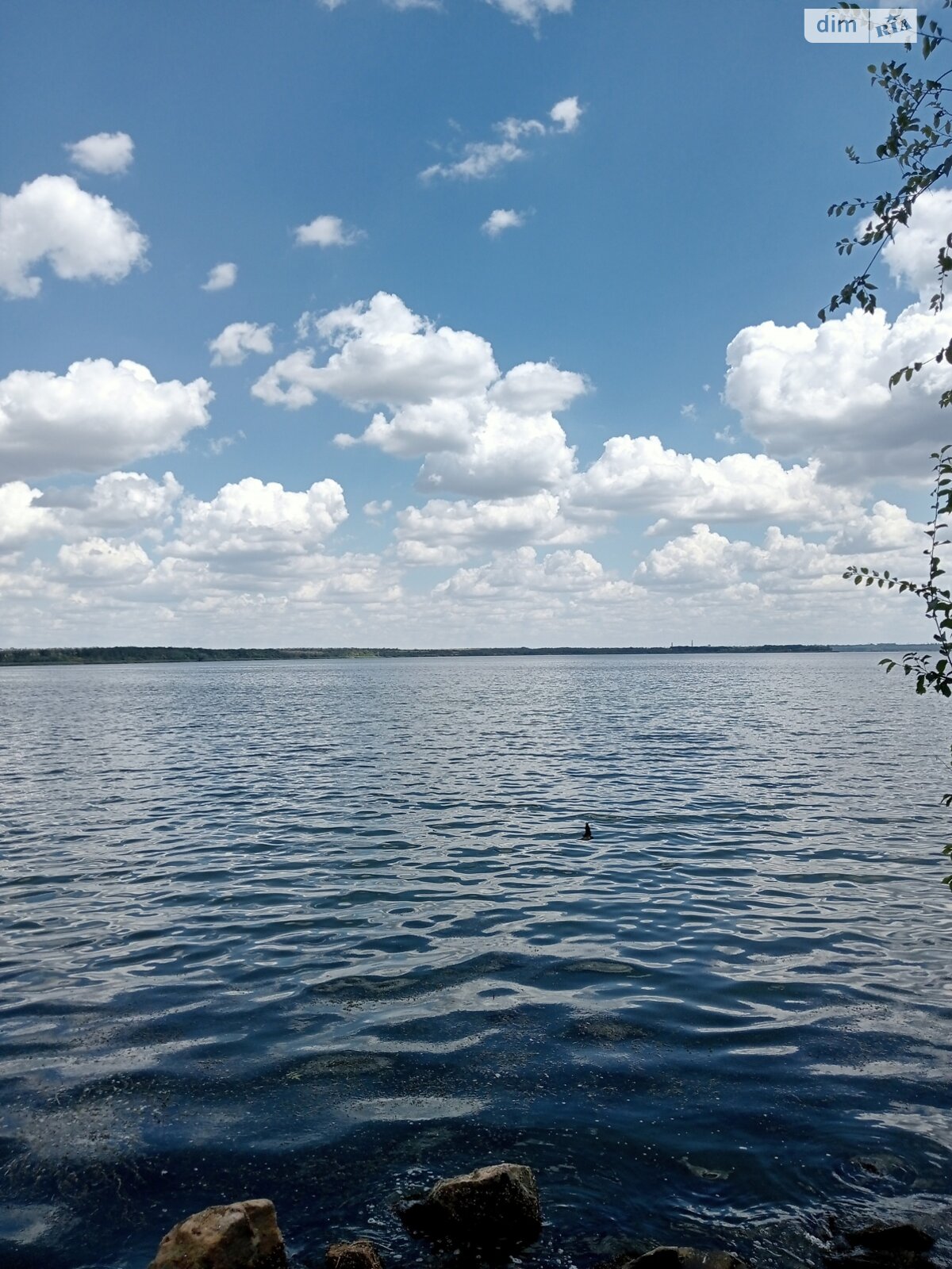 Земельна ділянка сільськогосподарського призначення в Данилівці, площа 1.5 Га фото 1