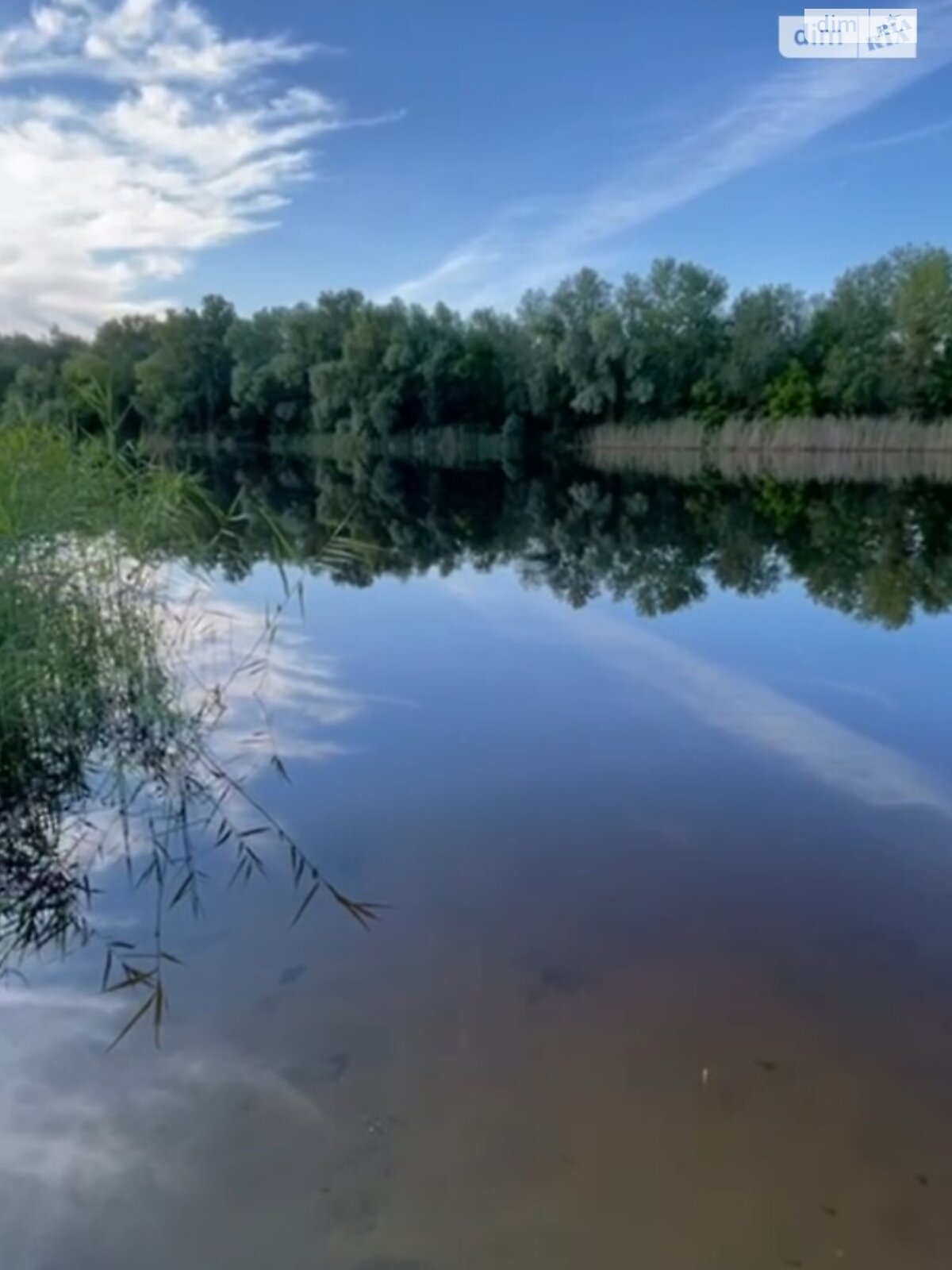 Земельный участок сельскохозяйственного назначения в Китайгороде, площадь 4.24 Га фото 1