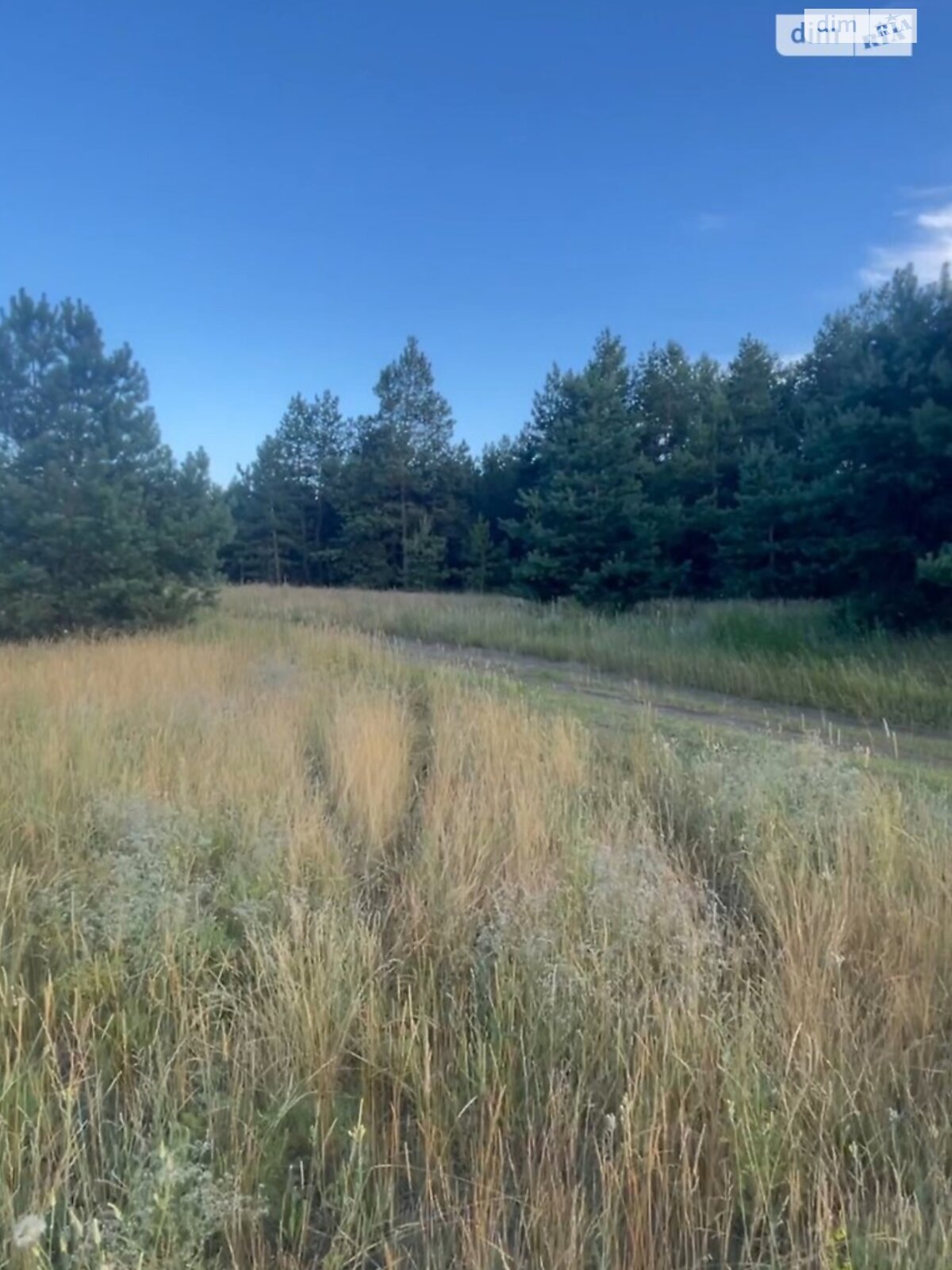 Земельный участок сельскохозяйственного назначения в Китайгороде, площадь 4.24 Га фото 1