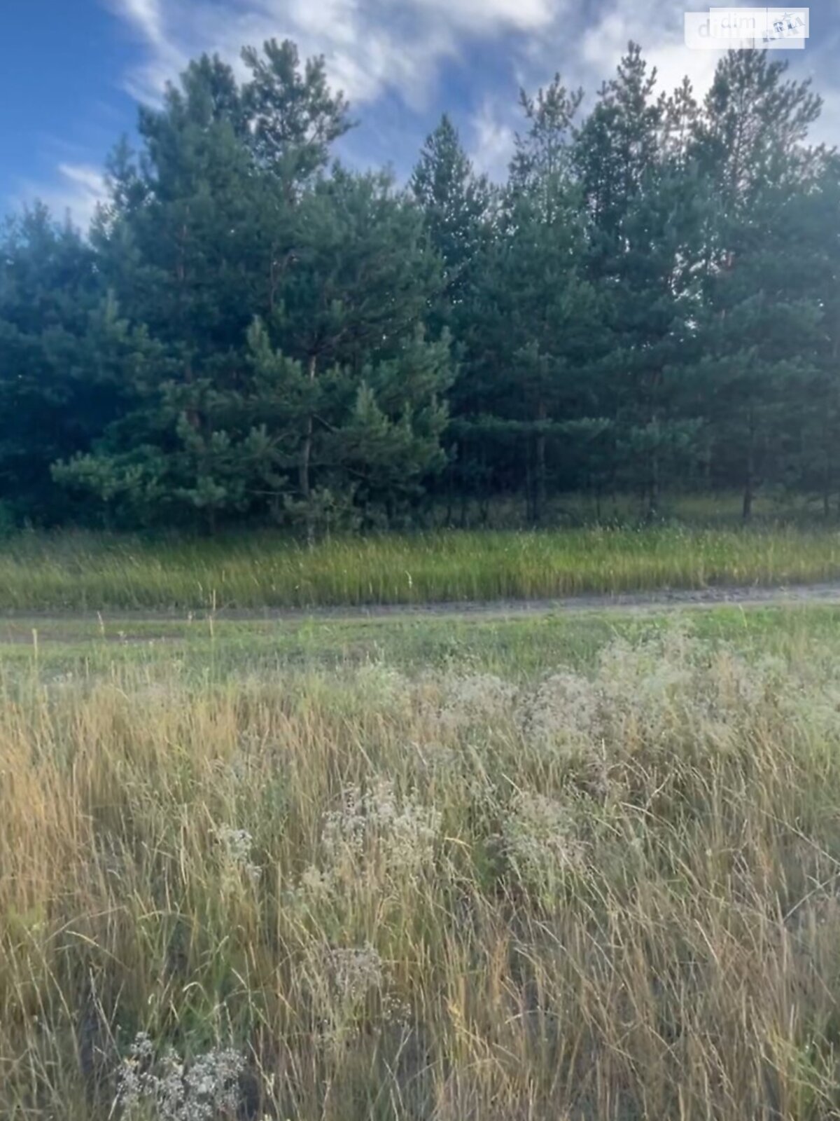 Земельный участок сельскохозяйственного назначения в Китайгороде, площадь 4.24 Га фото 1