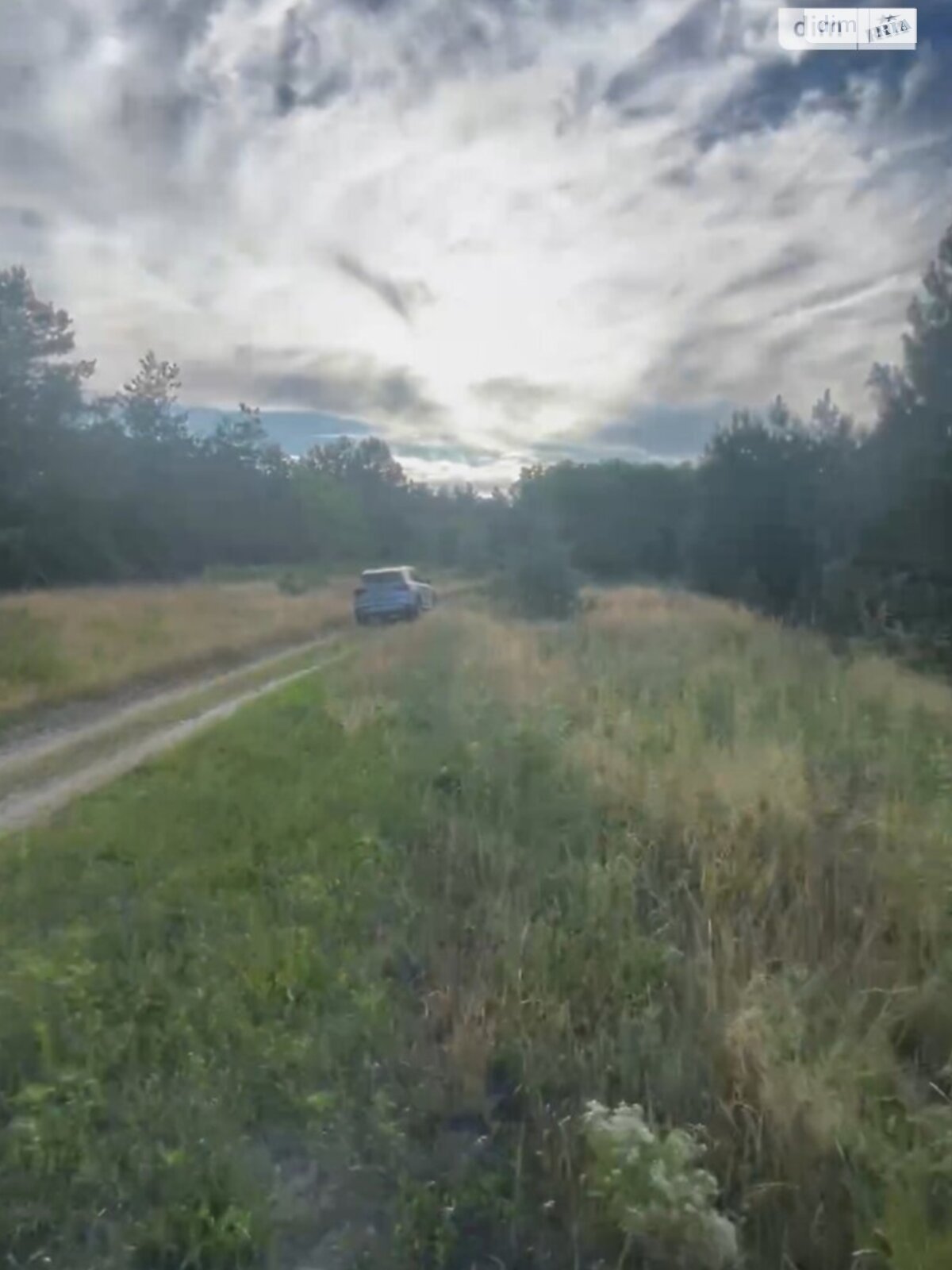 Земельный участок сельскохозяйственного назначения в Китайгороде, площадь 4.24 Га фото 1