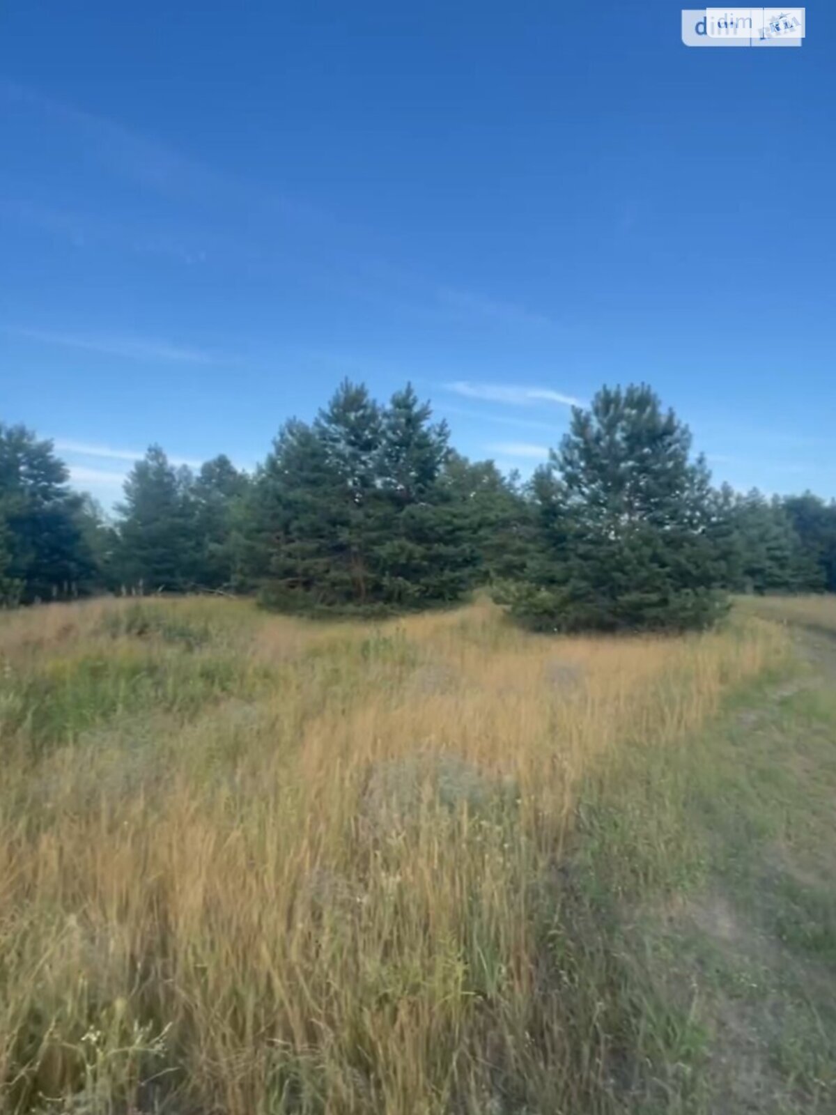 Земельный участок сельскохозяйственного назначения в Китайгороде, площадь 4.24 Га фото 1