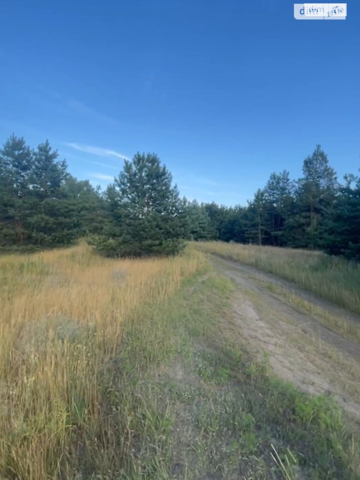 Земельный участок сельскохозяйственного назначения в Китайгороде, площадь 4.24 Га фото 1