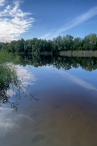 Земельный участок сельскохозяйственного назначения в Китайгороде, площадь 4.24 Га фото 2