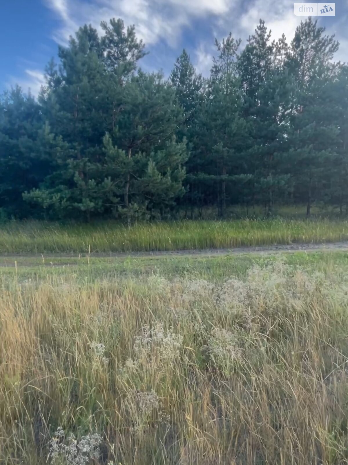 Земельна ділянка сільськогосподарського призначення в Китайгороді, площа 4.24 Га фото 1