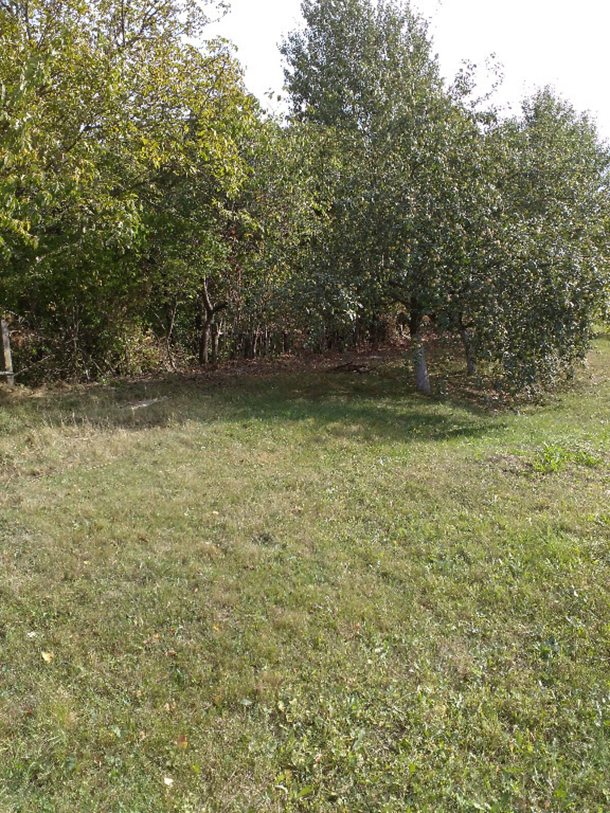 Земельный участок сельскохозяйственного назначения в Прилуцком, площадь 44 сотки фото 1