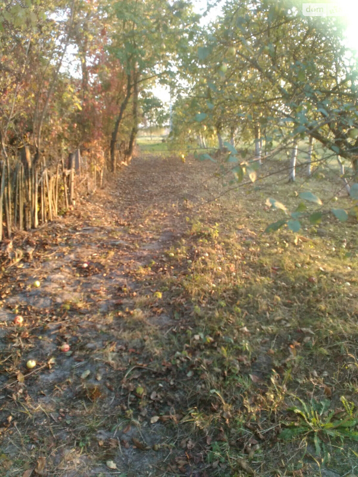 Земельный участок сельскохозяйственного назначения в Прилуцком, площадь 44 сотки фото 1