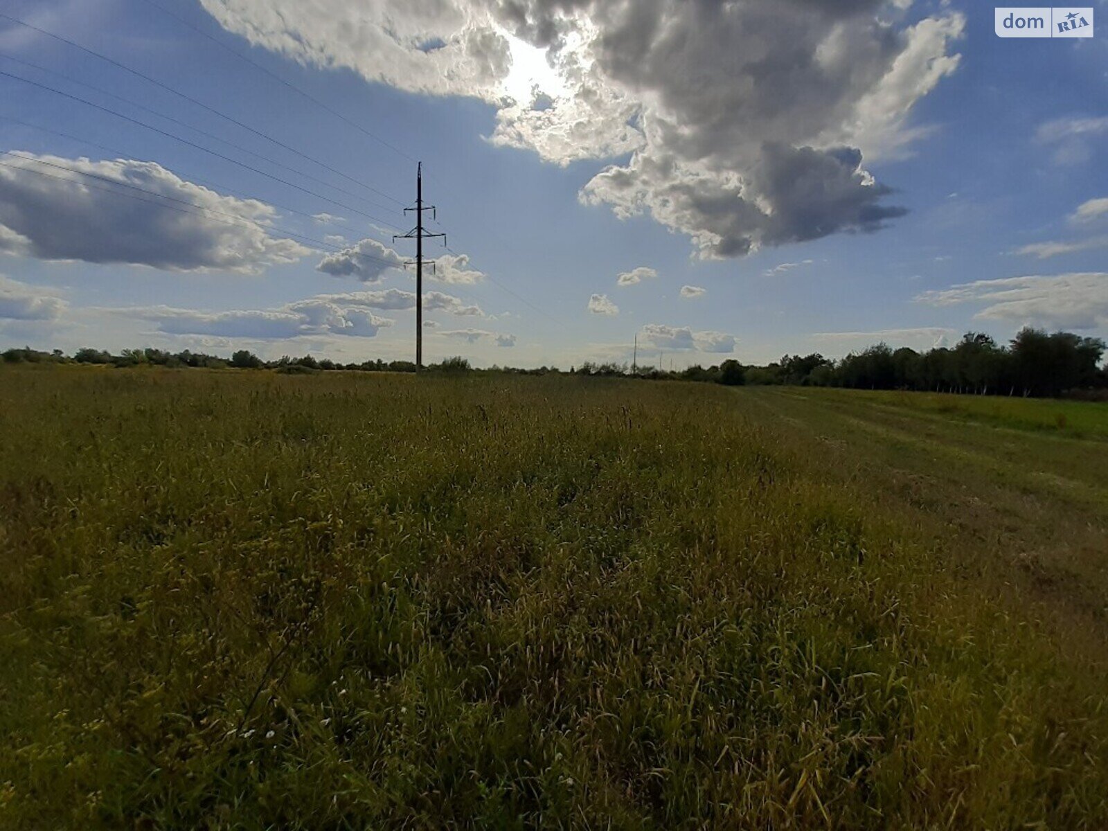 Земельный участок сельскохозяйственного назначения в Звереве, площадь 89.22 сотки фото 1