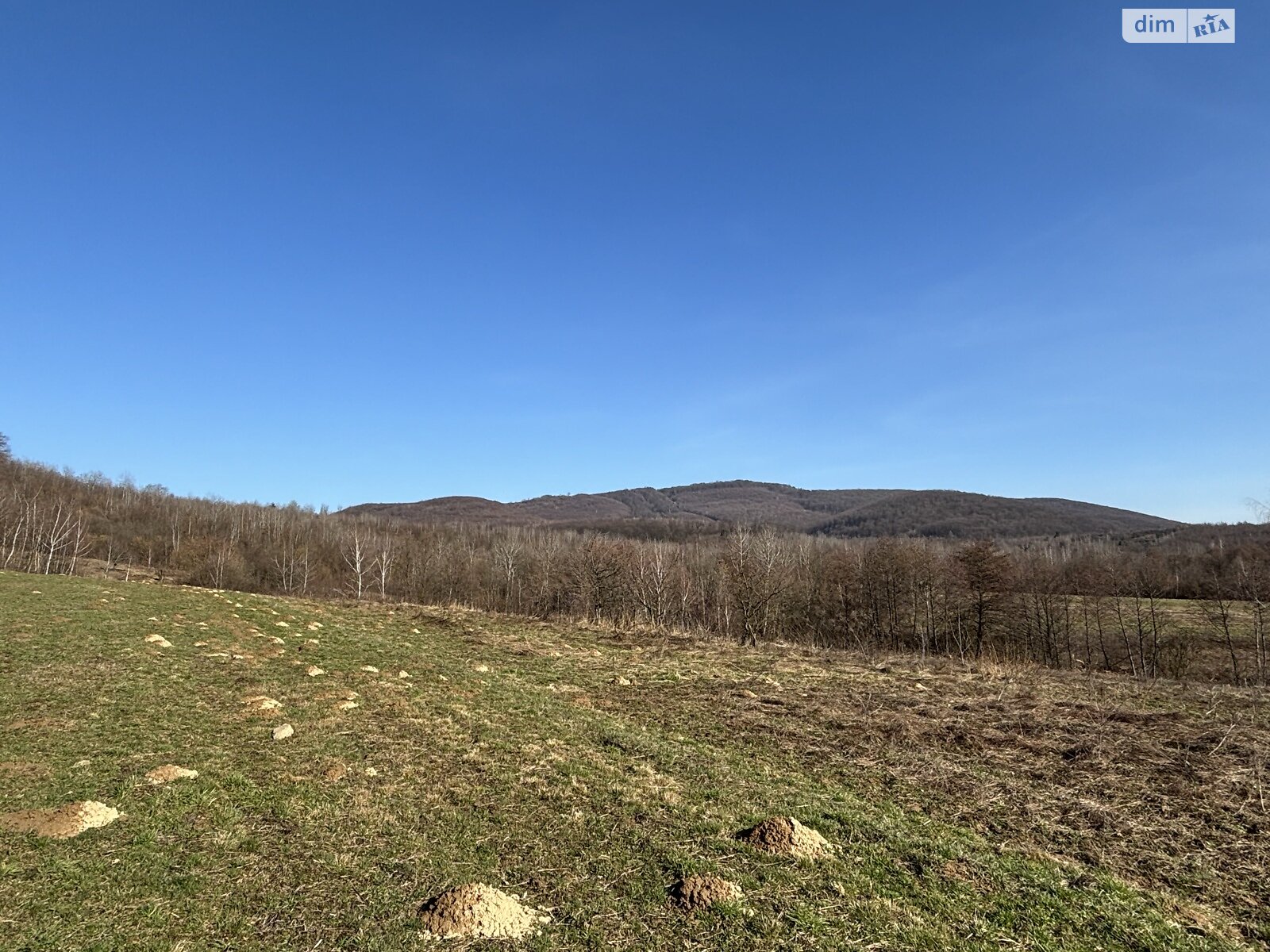 Земельный участок сельскохозяйственного назначения в Кленовце, площадь 100 соток фото 1