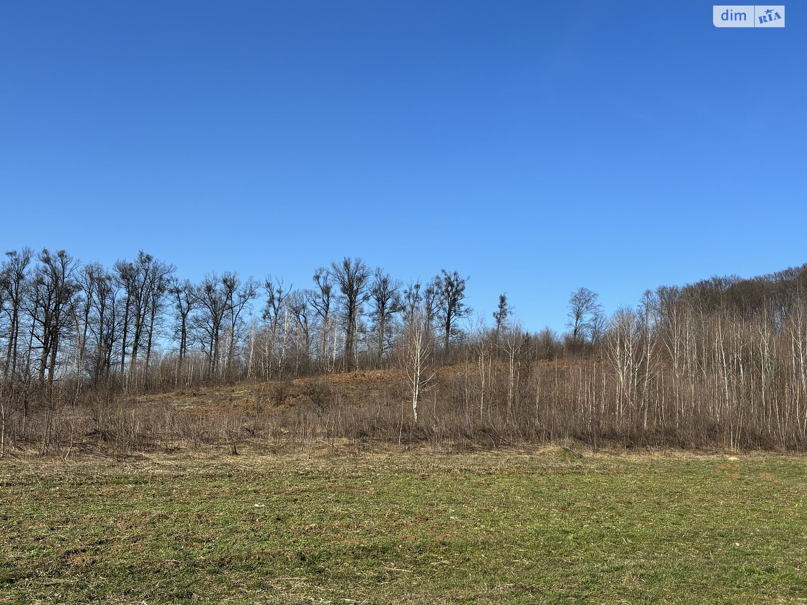 Земельный участок сельскохозяйственного назначения в Кленовце, площадь 100 соток фото 1