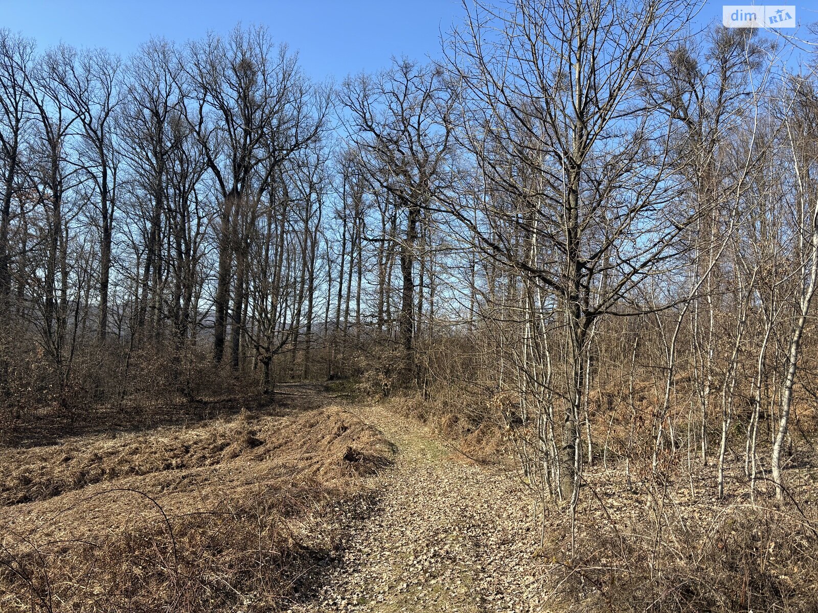 Земельный участок сельскохозяйственного назначения в Кленовце, площадь 100 соток фото 1