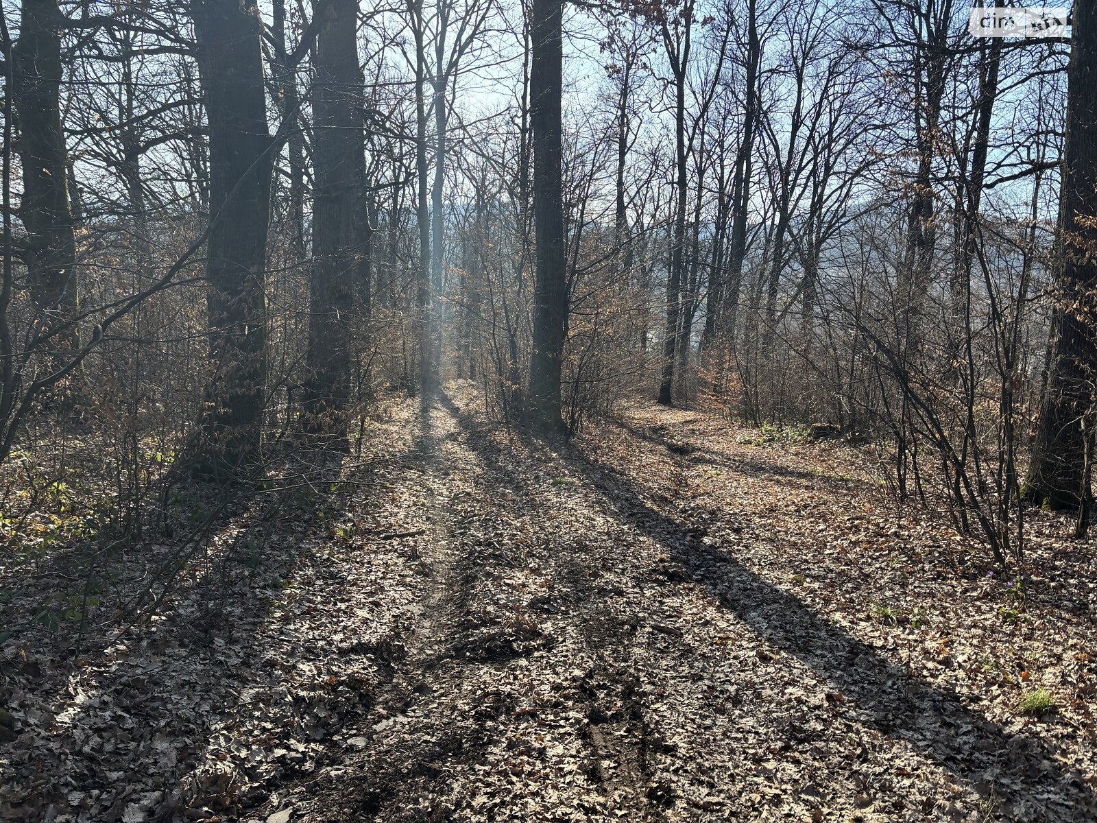 Земельный участок сельскохозяйственного назначения в Кленовце, площадь 100 соток фото 1