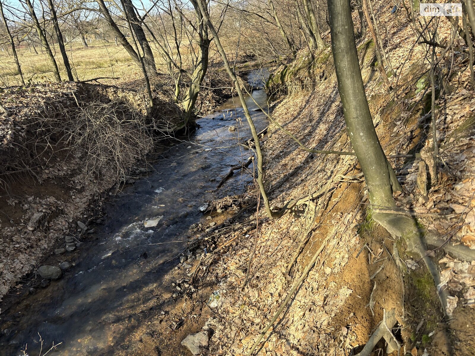 Земельный участок сельскохозяйственного назначения в Кленовце, площадь 100 соток фото 1