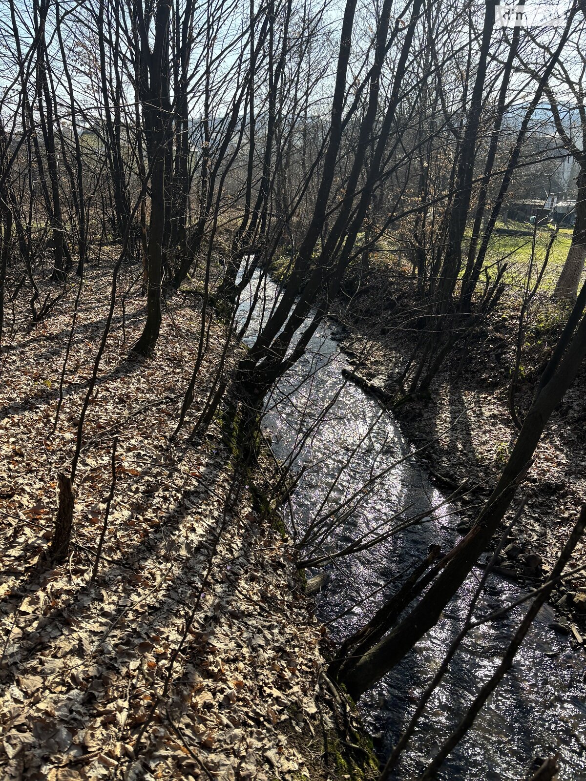 Земельный участок сельскохозяйственного назначения в Кленовце, площадь 100 соток фото 1