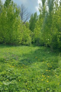 Земельный участок сельскохозяйственного назначения в Климашовке, площадь 15.33 сотки фото 2