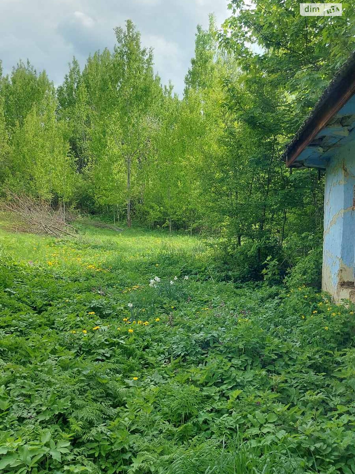 Земельный участок сельскохозяйственного назначения в Климашовке, площадь 15.33 сотки фото 1