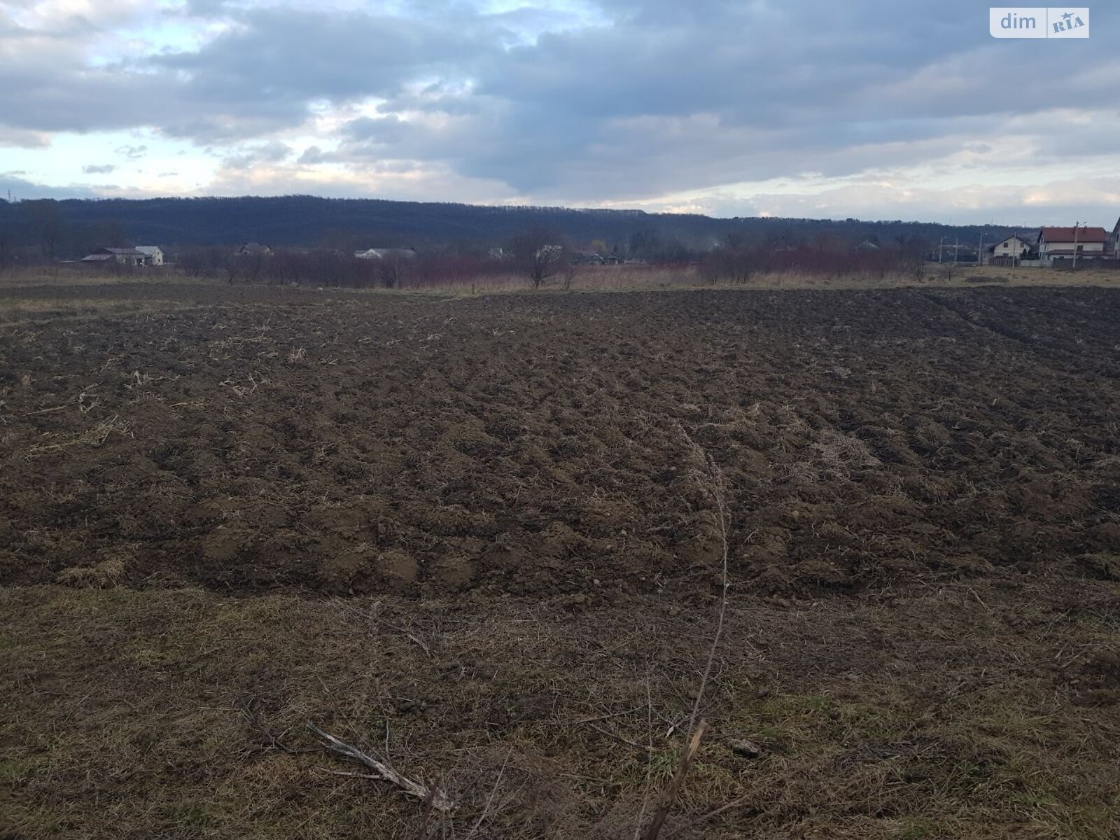 Земельный участок сельскохозяйственного назначения в Клузове, площадь 37 соток фото 1