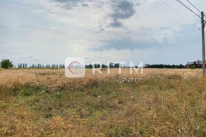 Земельный участок сельскохозяйственного назначения в Княгининке, площадь 104 сотки фото 2