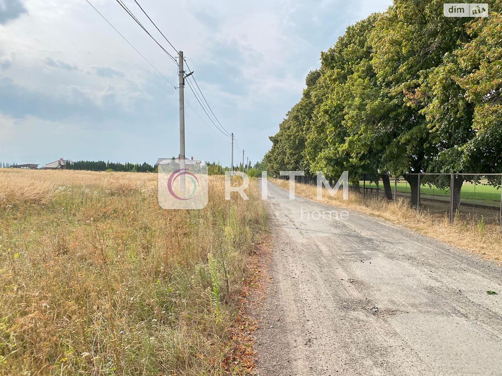 Земельный участок сельскохозяйственного назначения в Княгининке, площадь 104 сотки фото 1
