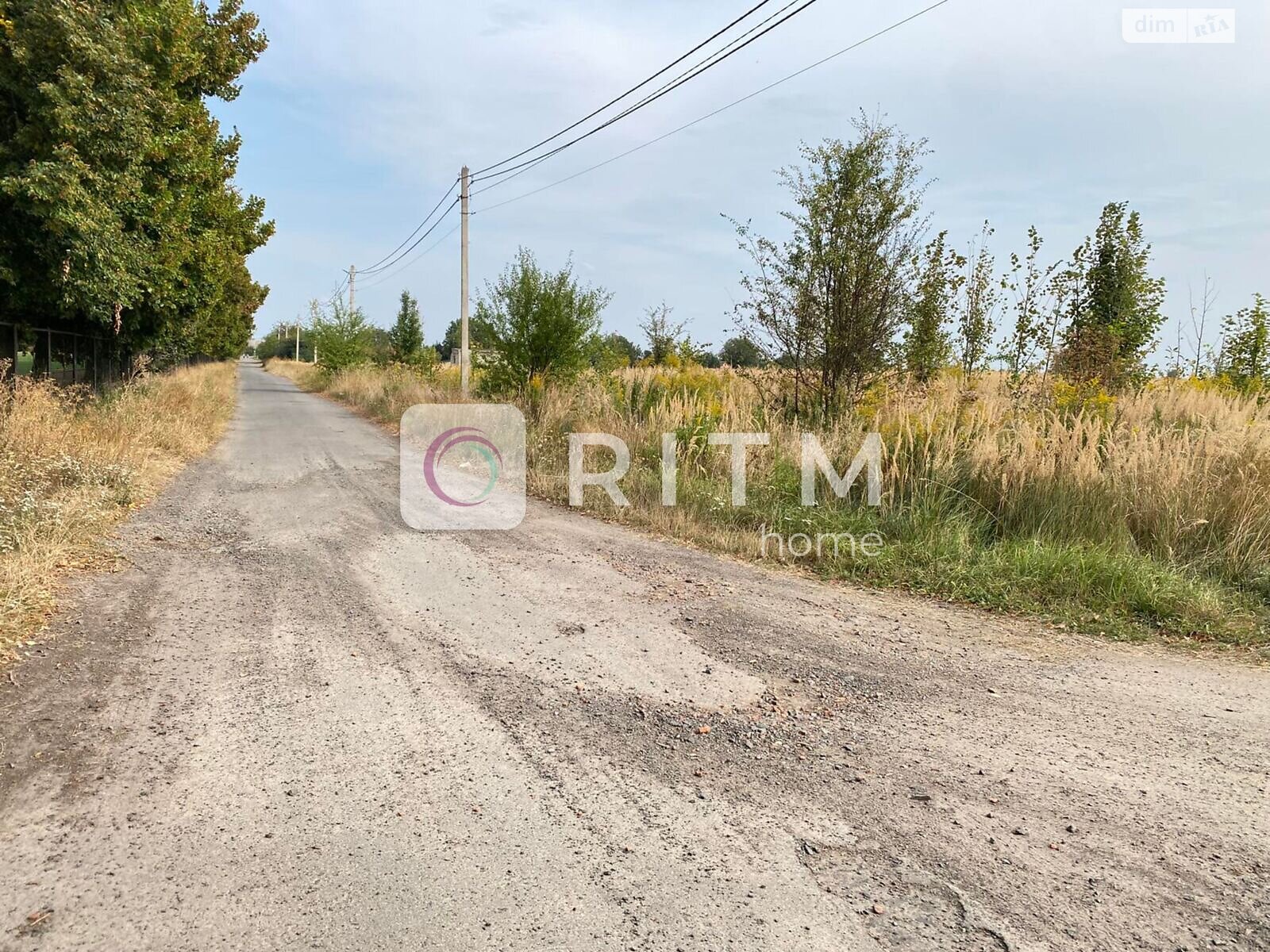Земельный участок сельскохозяйственного назначения в Княгининке, площадь 104 сотки фото 1