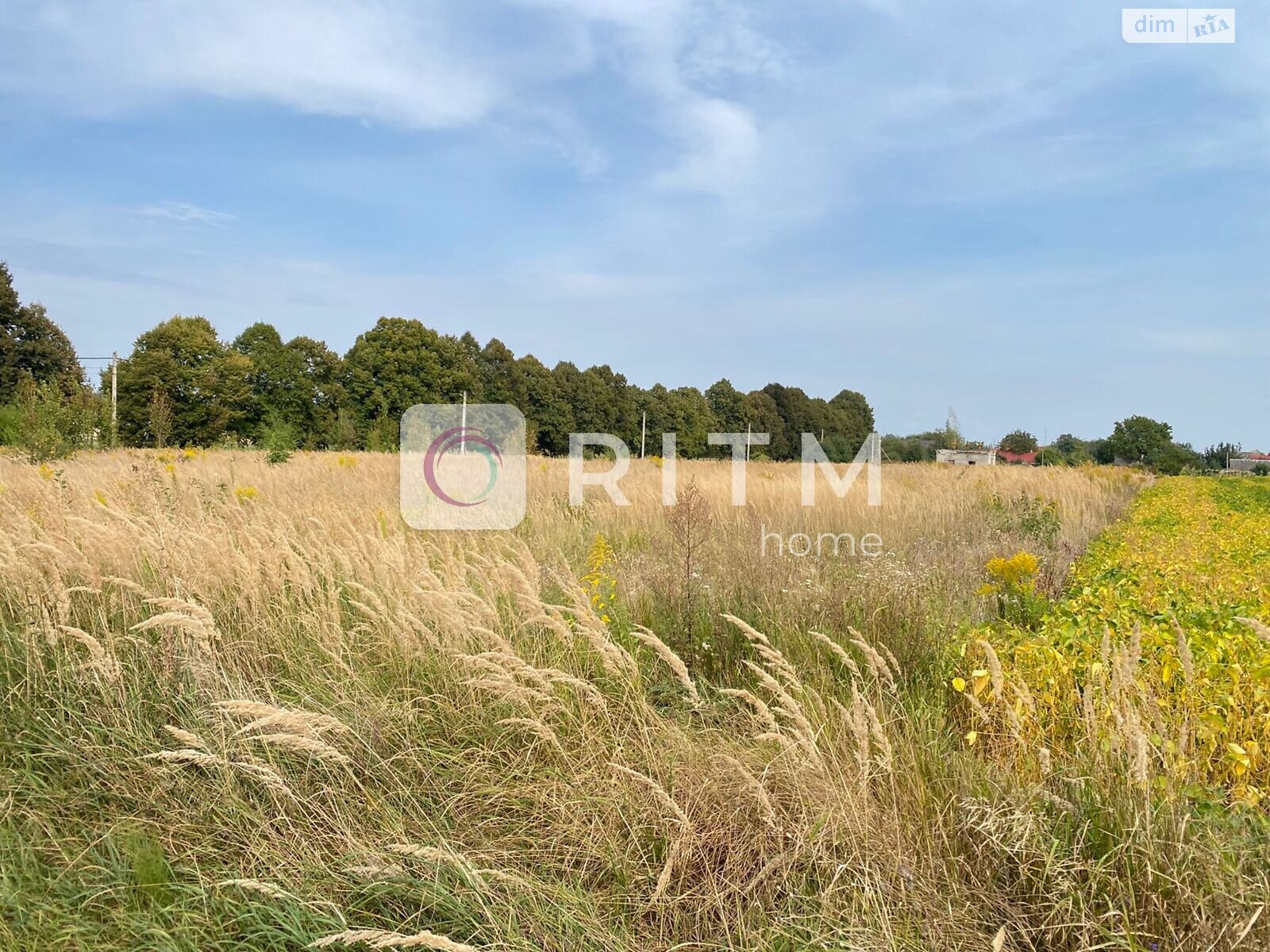 Земельный участок сельскохозяйственного назначения в Княгининке, площадь 104 сотки фото 1